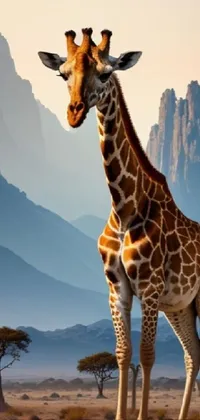 Giraffe Head Sky Live Wallpaper