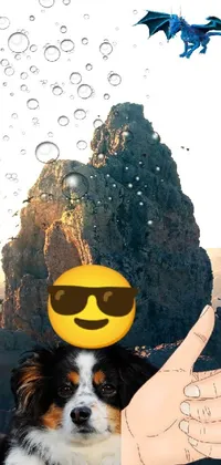This live wallpaper features an adorable dog sitting on a mountain with a smiley face on its head
