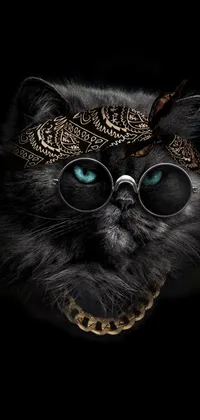 Glasses Sunglasses Felidae Live Wallpaper