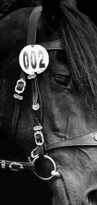This black and white live wallpaper features a detailed photograph of a horse wearing a deerstalker hat and harness, taken in 2022