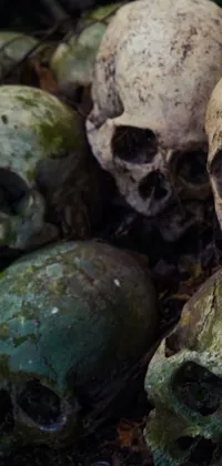 Looking for a spine-tingling live wallpaper that will add an air of darkness to your phone screen? Check out this Kong Skull Island themed live wallpaper showcasing a pile of skulls in close-up 4K detail