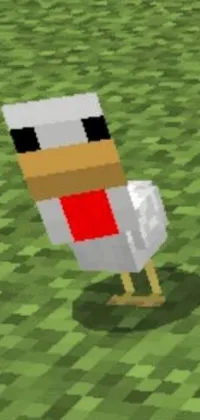 This beautiful live wallpaper features a cute albino duck wearing a red neckerchief standing in a grassy field