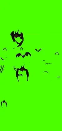 Transform your phone with this stunning live wallpaper featuring a flock of bats flying against a vivid green background