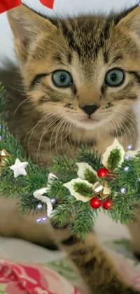 This phone live wallpaper showcases a realistic and close-up image of a cute kitten sitting inside a gorgeous wreath on a comfortable bed