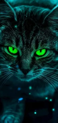 This high-quality phone live wallpaper showcases a captivating digital artwork of a cat with illuminating eyes called Greeny the Enchantress