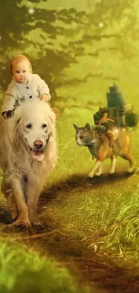 Get this incredibly charming phone live wallpaper with a beautiful picture of a baby riding on the back of a dog towards you