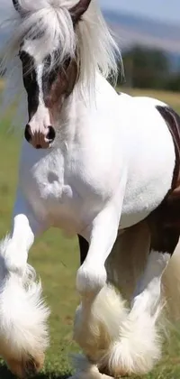 This phone live wallpaper features a captivating white and brown horse trotting through a lush green pasture