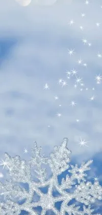 This phone live wallpaper brings the essence of winter to your screen with a beautiful snowflake lying on top of snow