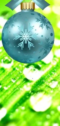 This phone live wallpaper showcases a blue Christmas ornament resting on a green leaf with droplets of condensation