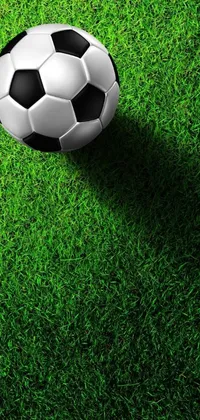 This live wallpaper features a 3D-rendered soccer ball placed on top of a vibrant green field