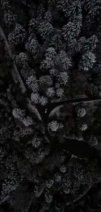 This live wallpaper offers a stunning bird’s-eye view of a snow-covered forest captured by a talented photographer