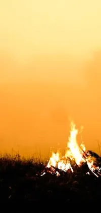 This phone live wallpaper features a captivating scene of a person standing next to a glowing fire in a vast field