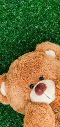 Looking for a cheerful and adorable live wallpaper for your phone? Look no further than this brown teddy bear laying on a green field with toys scattered around it! This wallpaper features soft and detailed teddy bear fur with a playful and cute expression on its face
