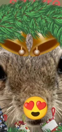 This live phone wallpaper features an adorable squirrel wearing a Christmas wreath on its head
