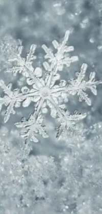 This live phone wallpaper features a beautiful snowflake resting atop a winter wonderland of snow-covered ground