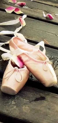 This live wallpaper showcases pink ballet shoes resting on a wooden bench with a charming picture, profile pic, and delicate petals in the background