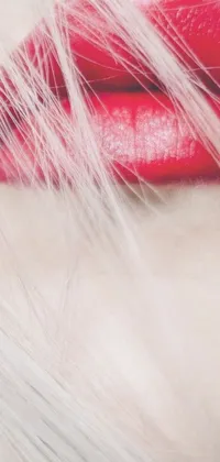 This phone live wallpaper portrays an eye-catching view of a woman's red lipstick-coated lips, paired with a striking red fur neck wrap