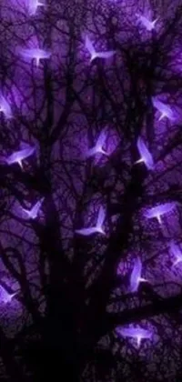 This live wallpaper features a stunning photo of a tree surrounded by glowing purple string lights