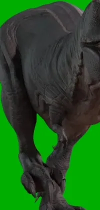 This live wallpaper features a captivating close-up of a dinosaur on a lush green background