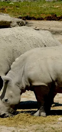 This phone live wallpaper showcases a realistic image of two rhinos standing on a sandy terrain
