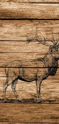 This stunning phone live wallpaper features a majestic deer standing on a rustic wooden floor, surrounded by lush trees and foliage