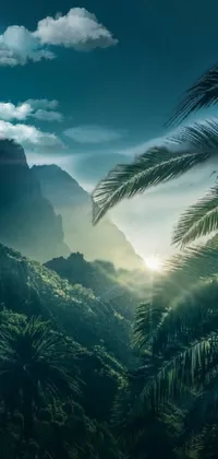 Transform your mobile screen into a tropical haven with this stunning live wallpaper! Immerse yourself into a realistic mountain view, encompassed by lush palm trees and a vibrant valley