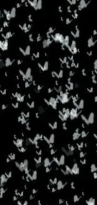 This phone live wallpaper displays a captivating black and white photograph of many butterflies against a sparkling glitter backdrop