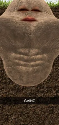 This phone live wallpaper depicts a detailed image of a man's face, seemingly made of earth, buried deep within a cavernous stomach