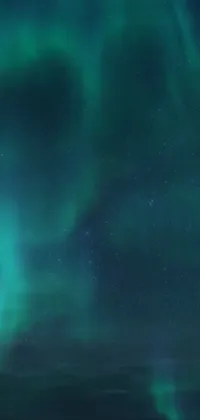 This gorgeous live wallpaper captures the beauty of a polar bear standing proudly on a snowy field