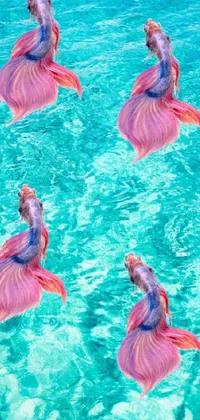 This phone live wallpaper depicts a stunning underwater scene with a group of colorful fish swimming in crystal clear water, surrounded by lush tropical vegetation