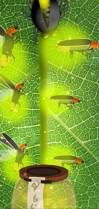 Green Leaf Botany Live Wallpaper