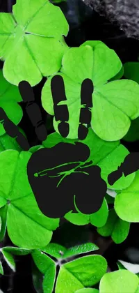 Green Leaf Plant Live Wallpaper
