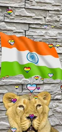 India Live Wallpaper