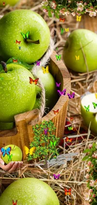 Green Natural Foods Organism Live Wallpaper