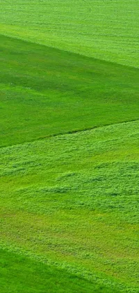 Green Natural Landscape Slope Live Wallpaper