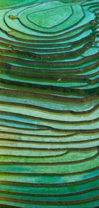 Green Natural Material Line Live Wallpaper
