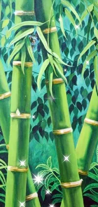 Green Plant Botany Live Wallpaper
