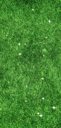 grass pattern Live Wallpaper