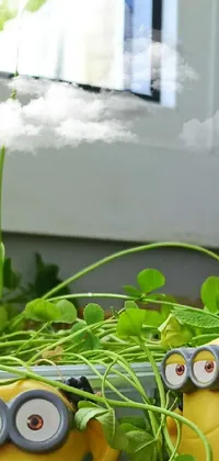 Green Plant Window Live Wallpaper