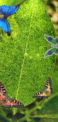 Green Pollinator Blue Live Wallpaper