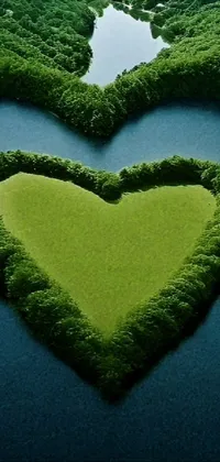 Green Water Nature Live Wallpaper