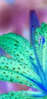 Adorn your phone screen with the stunning beauty of this live wallpaper featuring a close-up view of a vibrant green and blue lily flower