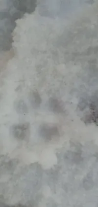 This phone live wallpaper features the stunning "Dog's Paw Prints in the Snow" design
