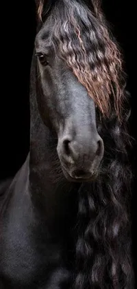 Enjoy the breathtaking beauty of a magnificent horse on your phone with this ultra-realistic live wallpaper