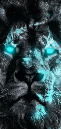 This stunning phone live wallpaper features a close up of a lion's face with glowing eyes in a black and cyan color scheme