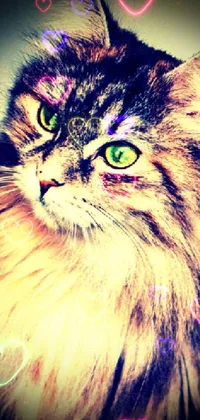 This phone wallpaper showcases a stunning close-up of a green-eyed cat with long hair, presented in vintage flickr-inspired pastel colors and pop art aesthetics