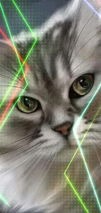 This phone wallpaper showcases a digitally created cat, complete with stunning neon lights and futuristic laser traces