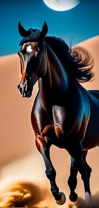 Hair Horse Vertebrate Live Wallpaper