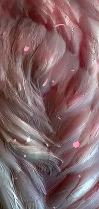 Hair Petal Liquid Live Wallpaper