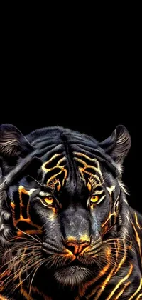 Hair Tiger Bengal Tiger Live Wallpaper